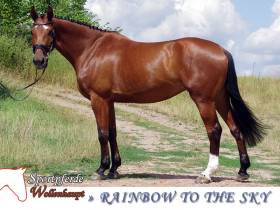 14_1_thumb_rainbow-to-the-sky.jpg